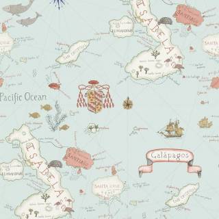 Коллекция Voyage of Discovery, DVOY213364