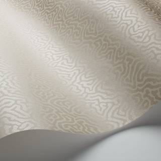 Коллекция Curio, 107/4019