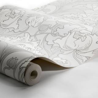 Колекція Anno, 4540