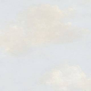 Колекція Transition, fj30907