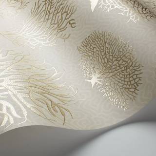 Колекція Curio, 107/2010