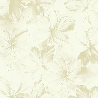 Колекція Edition 2, cb22706