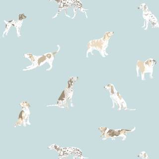 Коллекция Devon, AT24603