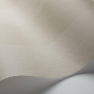 Колекція Marquee Stripes, 110/4019