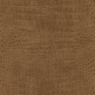 Колекція African Queen III, 751314