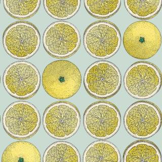 Колекція Fornasetti Selection, 114/24048