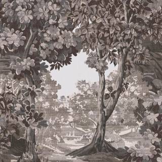 Коллекция ArboretumG, 127903