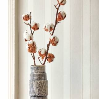 Колекція Littlemore, DLMW216889