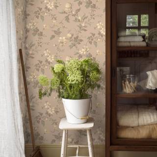 Коллекция  Anno, 4520 Коллекция  Anno, 4520