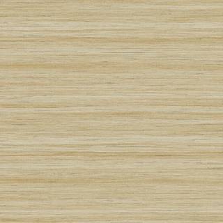 Колекція More Textures, TC70305 Колекція More Textures, TC70305