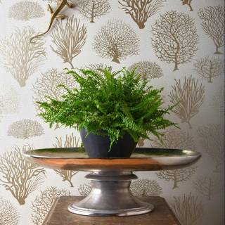 Колекція Curio, 107/2010