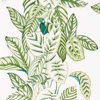 Коллекция Glasshouse, DGLW216630 Коллекция Glasshouse, DGLW216630