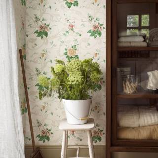 Коллекция  Anno, 4511