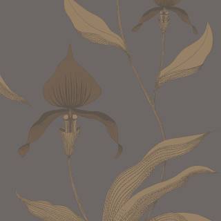 Колекція The Contemporary Selection, 95/10056 Колекція The Contemporary Selection, 95/10056