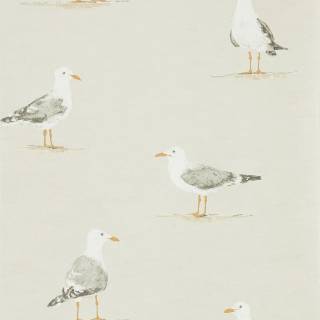 Колекція Port Isaac, DCOA216563