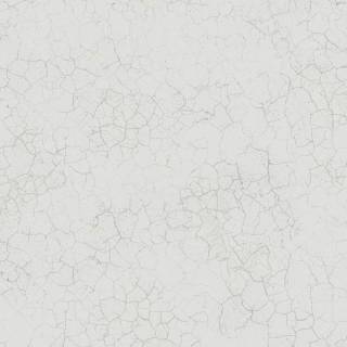 Колекція Transition, fj31208