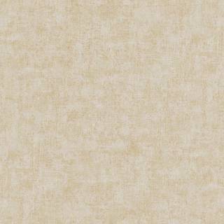 Колекція Online, ON503