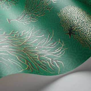 Коллекция Curio, 107/2007