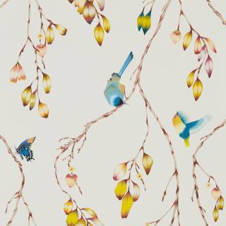 Колекція Colour 2, HZAP111770