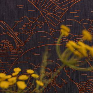 Колекція Moooi Wallcovering Tokyo Blue, MO3000 Колекція Moooi Wallcovering Tokyo Blue, MO3000