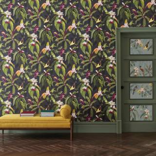 Колекція Empyrea, W7612-01