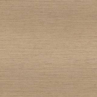 Колекція Duet, DT101