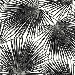 Колекція Piano, WH41500