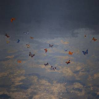 Коллекция Butterfly Sky, 9670