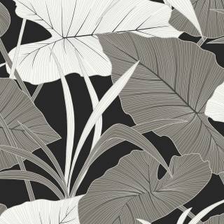 Колекція Antigua, AN71200