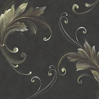 Колекція Edition 2, cb21800