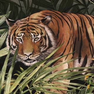 Колекція Expedition, 72000