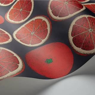 Коллекция Fornasetti Selection, 114/24046