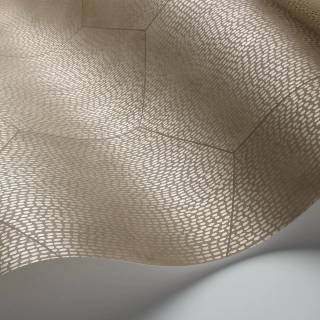 Колекція Curio, 107/6029