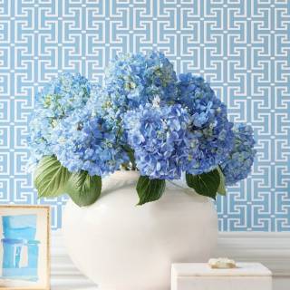 Коллекция  Eden, T20857