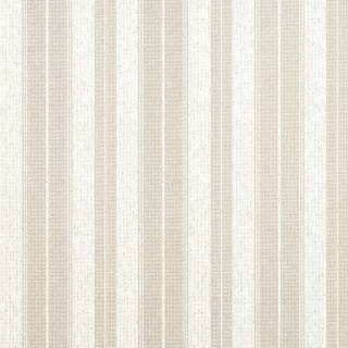 Коллекция  Stripes and Checks, T44006