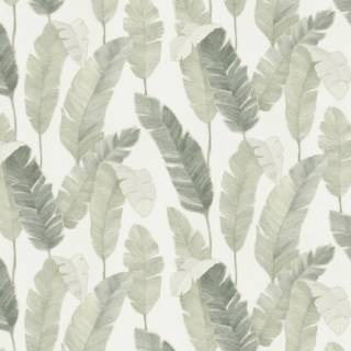 Коллекция  Attico, 392642