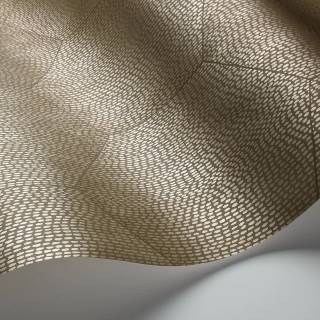 Колекція Curio, 107/6028 Колекція Curio, 107/6028