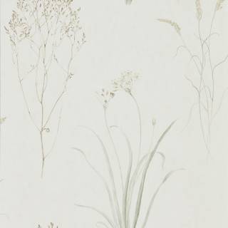 Коллекция Embleton Bay, DEBB216488