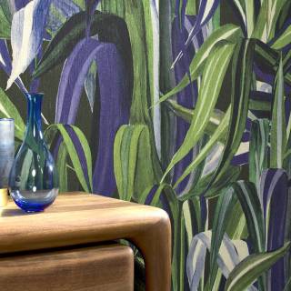 Коллекция  Expedition, 72012