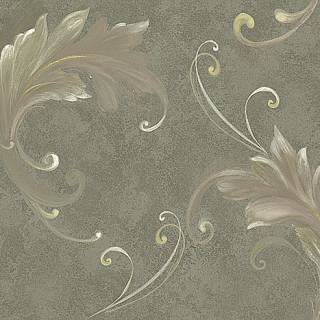 Колекція Edition 2, cb21808