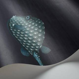 Коллекция Fornasetti Selection, 114/16032