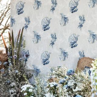 Коллекция Colour, HTEW112766