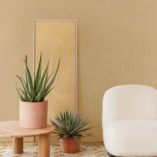 Колекція Artifact, 312433