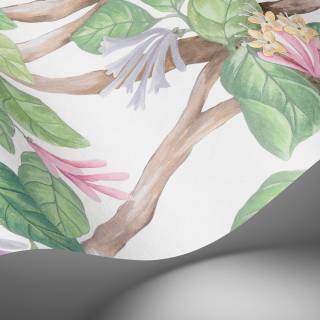 Колекція Selection of Hummingbirds, 124/2008