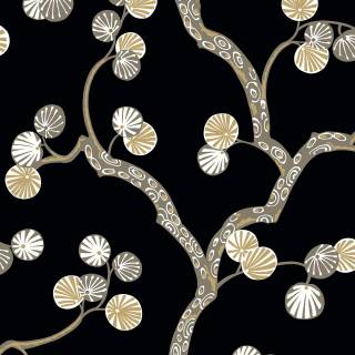 Колекція Piano, WH41005