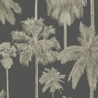 Колекція Malibu, Ml01416