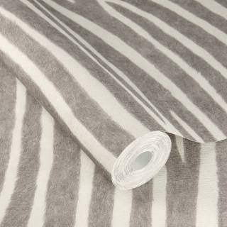 Колекція African Queen III, 751734