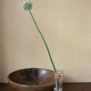 Колекція Compilation, DCMW216833