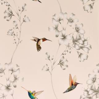 Коллекция Colour, HTEW112606