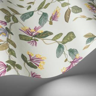 Колекція Selection of Hummingbirds, 124/3020